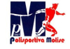 Mezzo secolo di Polisportiva Molise: Melogli atleta del 50ennio; Bussone uomo rappresentativo 