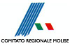 Comitato regionale Fidalmolise: Luca Rosa ed Ilde Salvatore eletti consiglieri regionali. Le societ� ed il consiglio censurano pesantemente lo stato dell�impianto di Fontanavecchia